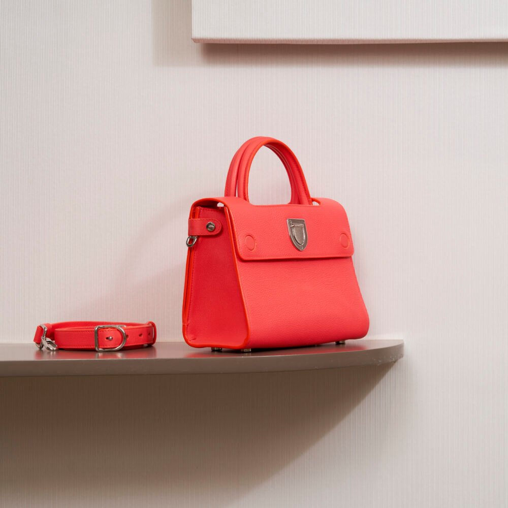 Dior Mini Diorever Bag in Red