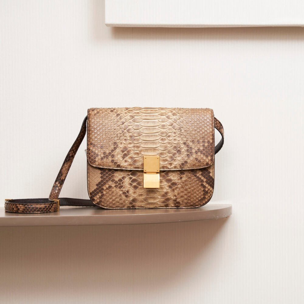 Celine Classic Box Python Bag