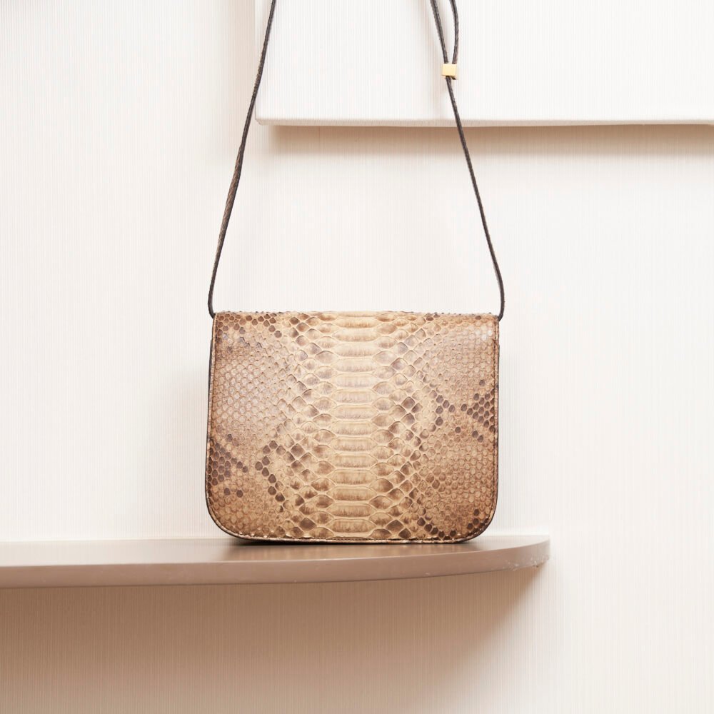 Celine Classic Box Python Bag