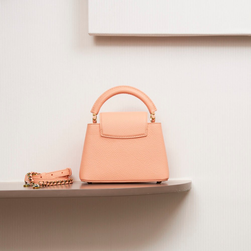 Louis Vuitton Mini Capucines Bag