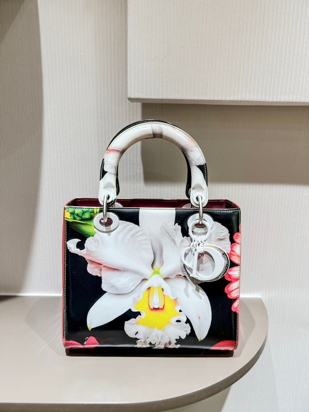 Lady Dior Art Bag