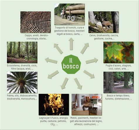 L'uomo nel bosco 2025